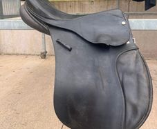 saddle