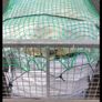 Seasoned Mature Ash/Beech/Oak Firewood - Hardwood Image 4