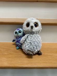 TY Owls Teddies