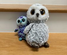 TY Owls Teddies