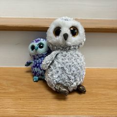TY Owls Teddies