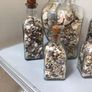 Sea shells in bottles Image 2