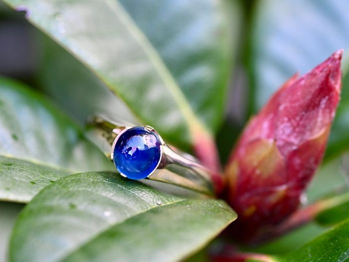 Antique Gents/Ladies Sapphire Solitaire Ring - 15ct circa 1887
