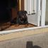 Mairead8492