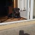 Mairead8492