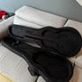 Harley Benton Les Paul Case Image 4