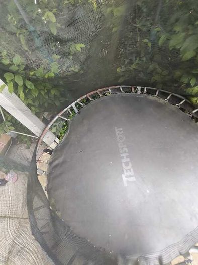 Trampoline  for free