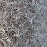 Beige Fuzzy Chenille with Gold Iridescent Sequins Jumper Image 8