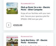 Electric Picnic Pink Moon Camping & Early Access