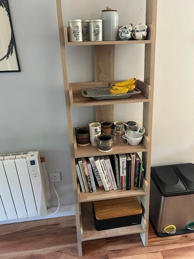 ladder shelf/bookcase