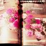 1980. The Constance Spry Book Of Flower Arranging. Image 5