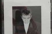 Peter Gabriel CD  - Shaking The Tree