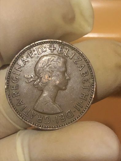 Elizabeth Halfpenny  x28 Pictures of each coin