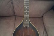 Gold Tone Mando/Guitar.