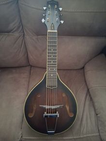 Gold Tone Mando/Guitar.