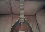 Mandolin