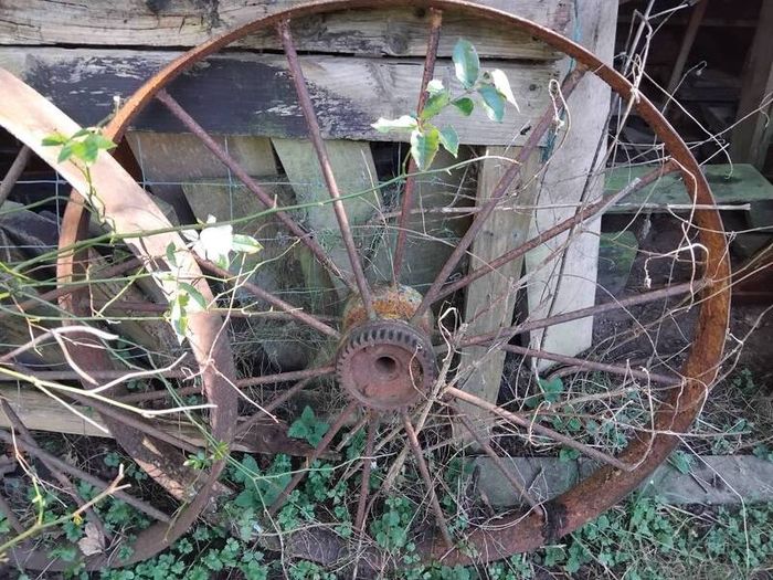 2 old wheels