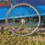 Fixie rear wheel, Fixed gear, single speed. Image 7