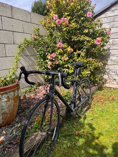 Genesis road bike