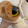 Ty Beanie approx. 8" Houghie the Bulldog Plush Used Please see photos Image 9