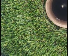 Artificial grass