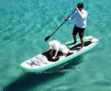 Paddleboard