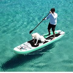 Paddleboard