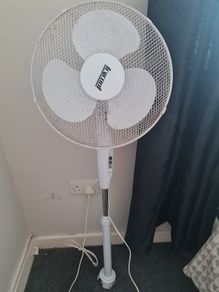 Fan
