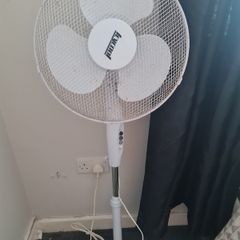 Fan