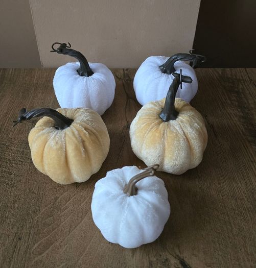 A set of 5 Halloween pumpkins mixed colors