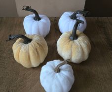 A set of 5 Halloween pumpkins mixed colors