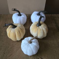A set of 5 Halloween pumpkins mixed colors