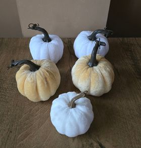 A set of 5 Halloween pumpkins mixed colors