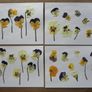 Violas - Pressed Flowers for Crafting: Various Colours, Flowers, Petals, Stems Image 2