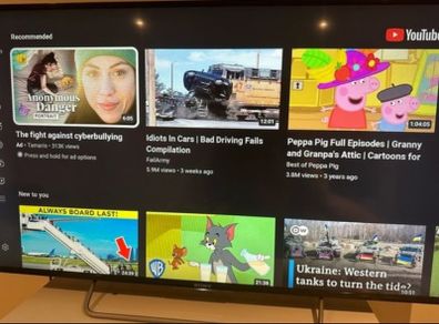 Sony Bravia 48 Inches