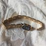 watches Image 2