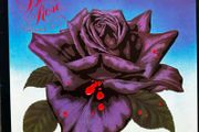 Thin Lizzy Black Rose. Original 1979 release in vg+ condition