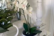 Shabby Chic Home Decor