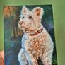 Westi West Highland terrier - original oil painting Image 6