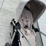 buggy Image 4
