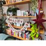 Modern Bookcase Image 2