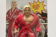 WWE Superstars Ric Flair Series 1 US Walmart Exclusive Import Figure