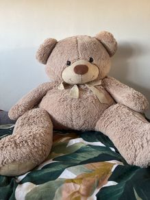 Huge teddy bear