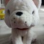 Toybox cream plush toy bulldog teddy. Image 3