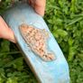 Hand building sculptural  artist Olena Dvoretska Ceramic Bowl with Shell Motif Image 6