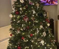 The Orchard 'the national tree company' 7.5ft feel real Newberry Spruce tree
