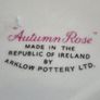 Arklow gravy boat Image 2