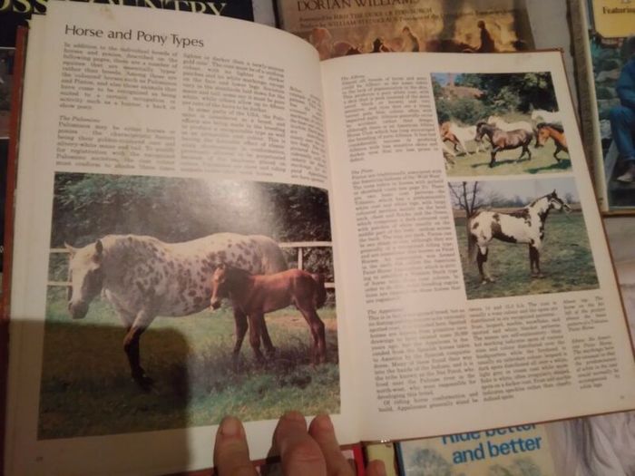 Horse / Equestrian Books