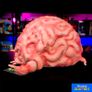 Teenage Mutant Ninja Turtles Krang 1:1 Latex Prop Trick or Treat Studios Image 6