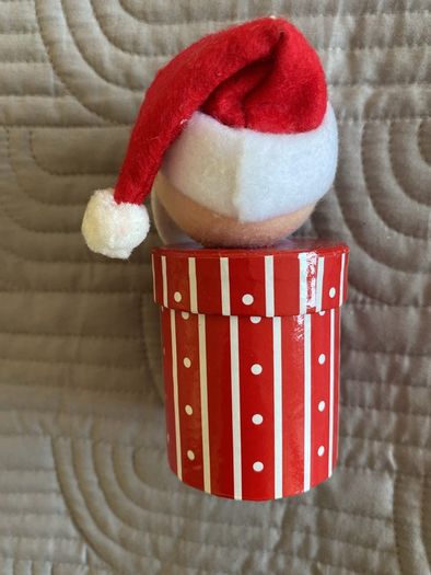Christmas Santa Box
